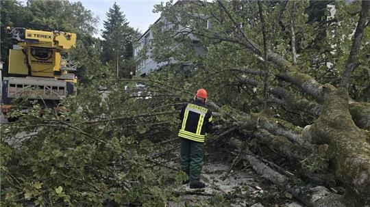 Ein Kranwagen, der mit einem Baum kollidiert, blockiert am Montagabend die Zufahrt zu einem Hotel.