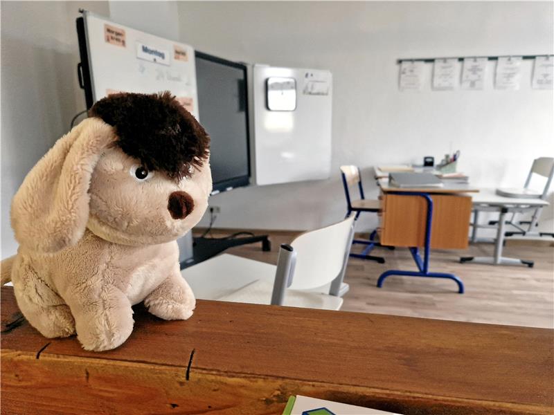 Venito feiert die fertige Kletterwand im Oberharz Ein Kuscheltier darf im Klassenraum nicht fehlen. Foto: Knoke