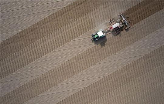 Ein Landwirt bestellt im brandenburgischen Jacobsdorf sein Feld.