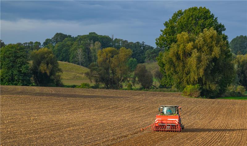 Ackerland bei Sudmerberg und Gut Ohlhof soll neu verpachtet werden Ein Landwirt drillt Saatgut in den Ackerboden am Rande des Oderbruchs im östlichen Brandenburg. Wer bekommt im nächsten Jahr die (kleineren) Flächen bei Gut Ohlhof und Sudmerberg?
