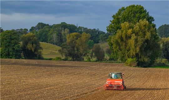 Ein Landwirt drillt Saatgut in den Ackerboden am Rande des Oderbruchs im östlichen Brandenburg. Wer bekommt im nächsten Jahr die (kleineren) Flächen bei Gut Ohlhof und Sudmerberg?