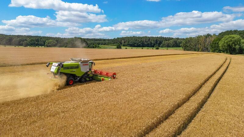 Ein Landwirt erntet mit seinem Mähdrescher Gerste auf einem Feld in Ostbrandenburg.