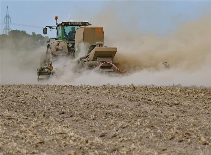 Ein Landwirt in Brandenburg drillt Saatgut in seinen ausgetrockneten Acker.