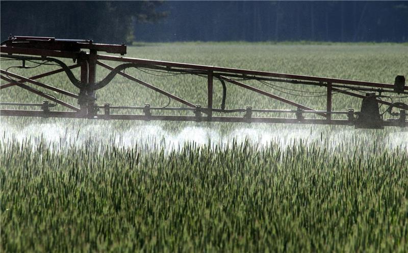 Foodwatch: Pestizid-Zulassungen ohne Risikoprüfung erneuert Ein Landwirt versprüht mit einem Spezialgerät Pflanzenschutzmittel über ein Roggenfeld.