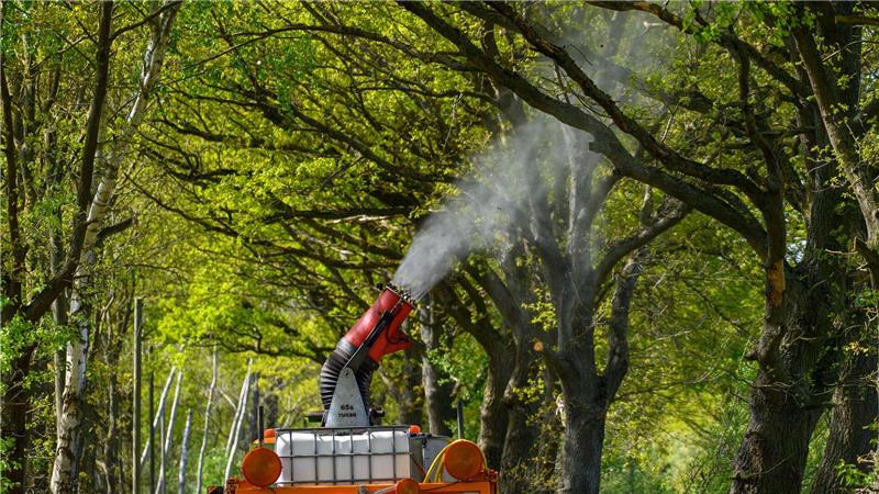 Ein Lastwagen mit einer montierten Sprühkanone bekämpft Eichenprozessionsspinner.