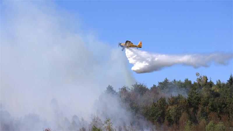Waldbrand im Harz noch nicht gelöscht Ein Löschflugzeug unterstützt die Einsatzkräfte bei den Löscharbeiten im Harz. (Archivbild)