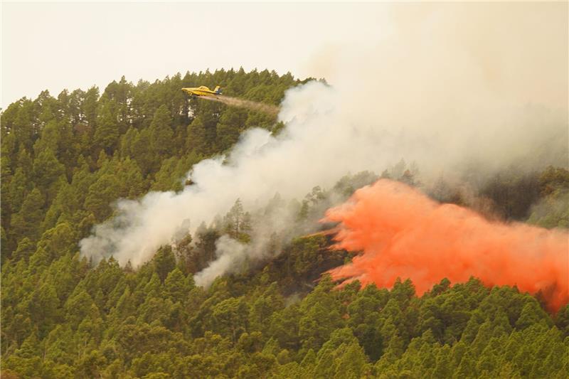 Waldbrand auf Teneriffa breitet sich langsamer aus Ein Löschflugzeug wirft Wasser auf den Waldbrand in der Nähe der Gemeinde El Rosario auf Teneriffa.