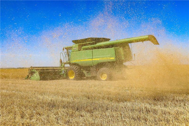 Ukraine-Getreide: Von der Leyen will Schutzmaßnahmen Ein Mähdrescher bei der Getreide-Ernte auf einem Feld in der Region Odessa im Süden der Ukraine.