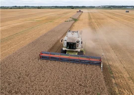 Ein Mähdrescher erntet Weizen in der Ukraine. Russland sperrt sich gegen eine Verlängerung des Abkommens zur Ausfuhr von ukrainischem Getreide über das Schwarze Meer.