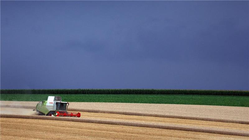 Bilder des Tages Ein Mähdrescher fährt unter aufziehenden Gewitterwolken über ein Getreidefeld in Ochsenfurt.