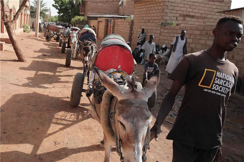 Vermittler: Waffenruhe im Sudan um fünf Tage verlängert Ein Mann führt in Khartoum Esel, die Wasserfässer auf Karren ziehen.