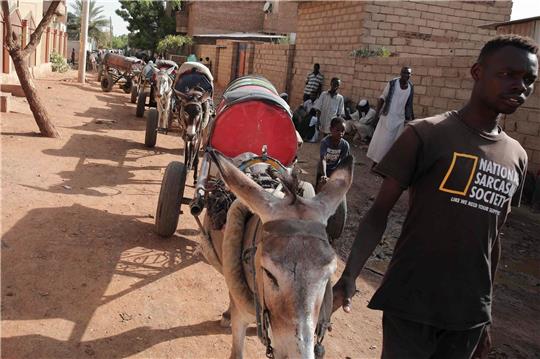 Ein Mann führt in Khartoum Esel, die Wasserfässer auf Karren ziehen.
