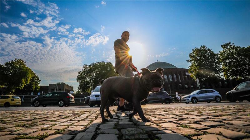 Bilder des Tages Ein Mann geht am Morgen mit seinem Hund in Düsseldorf spazieren.