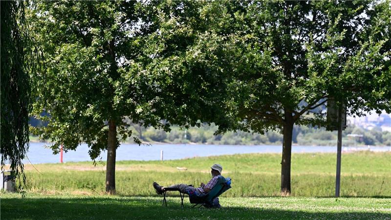 Städte im Hitze-Check: Heißes Mannheim, kühles Hattingen Ein Mann hat sich ein schattiges Plätzchen am Ufer des Rheins in Leverkusen gesucht. (Archivbild)