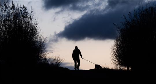 Ein Mann hat sich im Okertal beim Versuch, seinen entlaufenen Hund einzufangen, schwer verletzt. Symbolfoto: picture alliance/dpa | Julian Stratenschulte