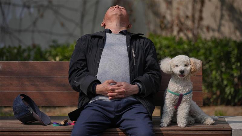 Ein Mann macht ein Nickerchen neben seinem Hund auf einer Bank in Peking.