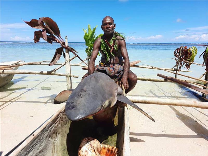 Papua-Neuguinea: Haie anlocken mit uralten Liedern Ein Mann sitzt beim «Shark Calling Festival» auf einem erlegten Hai.