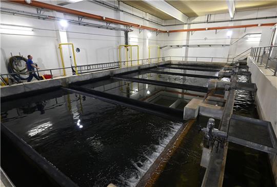 Ein Mitarbeiter geht im Wasserwerk an den Becken der Wasseraufbereitungsanlage vorbei.