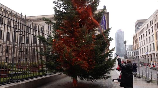 Ein Mitglied der Klimaschutzgruppe "Letzte Generation" besprüht einen Weihnachtsbaum vor dem Bundesrat mit orangener Farbe.