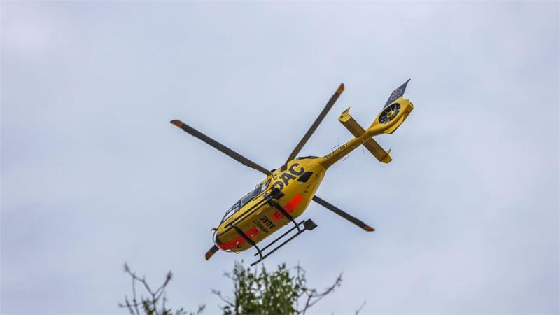 Ein gelber Hubschrauber fliegt über einen Baum.