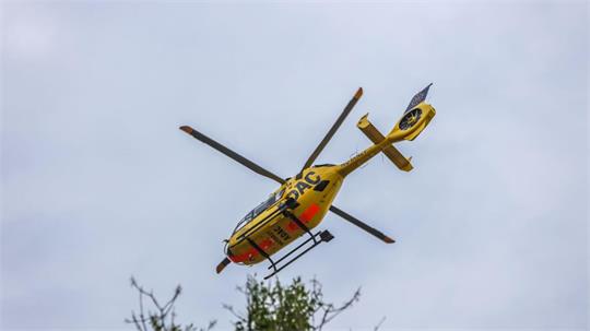 Ein gelber Hubschrauber fliegt über einen Baum.