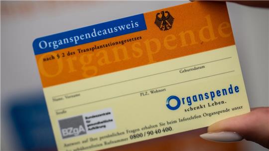 Ein Organspende-Ausweis dokumentiert die Entscheidung. (Archivbild)