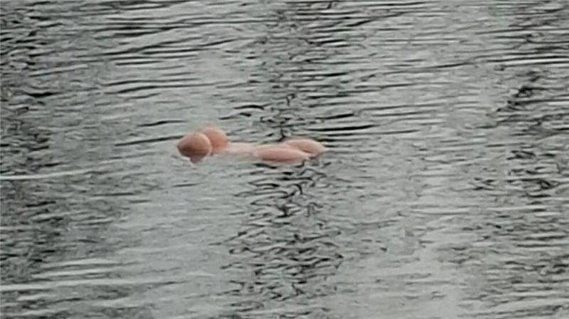 Ein Paar im Ruderboot, das zufällig vorbeikam, holte das Sexspielzeug aus dem Wasser.