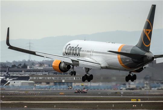 Ein Passagierflugzeug des Ferienfliegers Condor landet auf dem Flughafen.