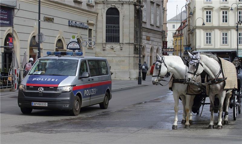 Entwarnung nach Terror-Alarm in Wien Ein Polizeiwagen neben einem Fiaker vor dem Wiener Stephansdom.