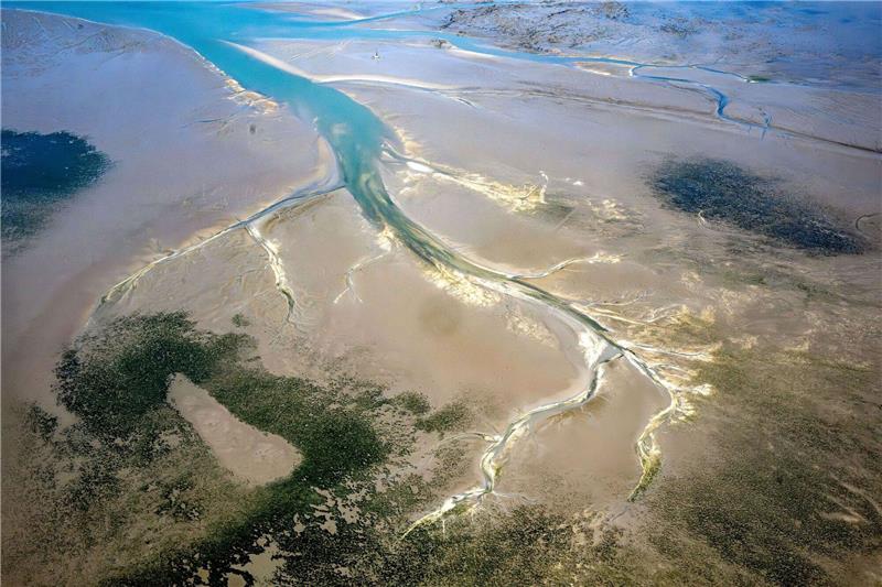 Mehr Schutz für Erhalt von Weltnaturerbe Wattenmeer nötig Ein Priel zieht sich durch das ostfriesische Wattenmeer.