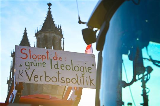 Ein Protestplakat bei einer Demonstration in Magdeburg Ende Januar: Untersuchungen zeigen, dass die Grünen in einigen Milieus der Gesellschaft stark polarisieren.