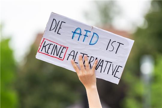 Ein Protestplakat während einer Kundgebung gegen die AfD-Veranstaltung «Der Nationalstaat zwischen Föderalismus und Europäischer Union».