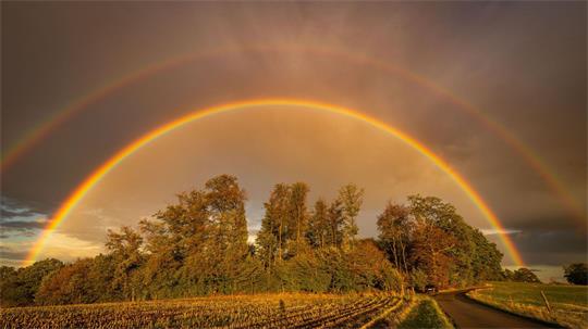 Ein Regenbogen strahlt im Abendlicht in Baden-Württemberg.