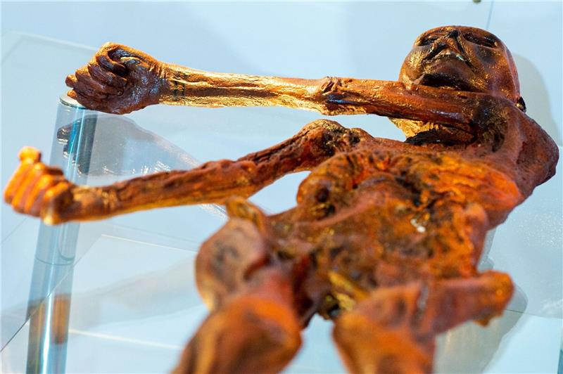 Ein Replikat des 1991 in den Ötztaler Alpen entdeckten Steinzeitmenschen «Ötzi».