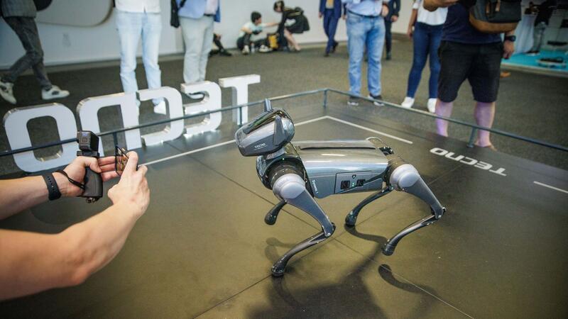 Ein Roboter wird als „Haustier der Zukunft“ am Stand des chinesischen Ausstellers Tecno bei der Internationalen Funkausstellung IFA präsentiert.  
