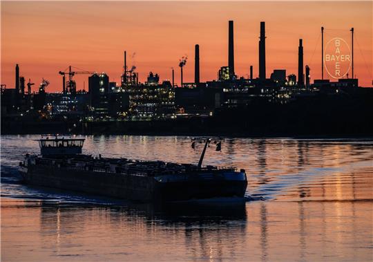 Ein Schiff fährt am Morgen über den Rhein vor dem Bayer-Werk in Leverkusen. Der Konzern senkt seine Prognose auch für die Pharmasparte.