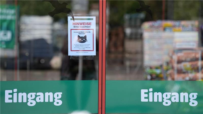 Katze Lotti wohnt in Plöner Baumarkt Ein Schild am Eingang weist auf Lotti hin.