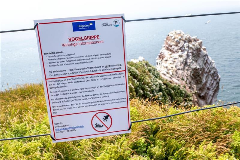 Keine Sommerpause bei der Vogelgrippe: Anpassung an Möwen Ein Schild informiert über die Vogelgrippe auf der Hochseeinsel Helgoland.