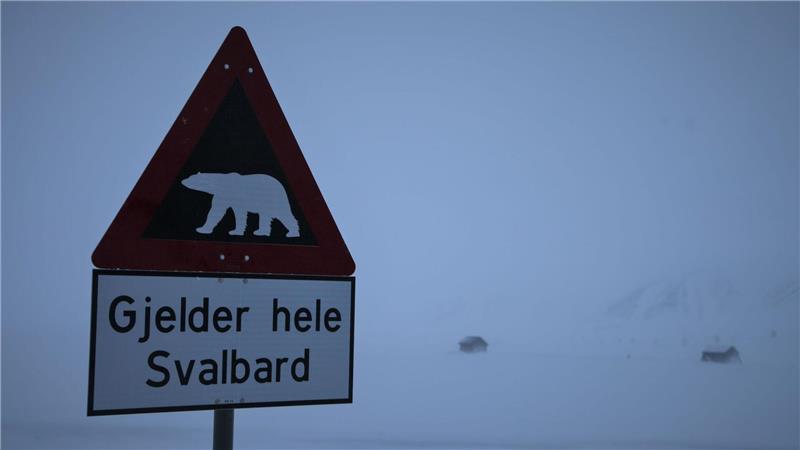 Eisbär auf Spitzbergen erschossen Ein Schild warnt auf Spitzbergen vor Eisbären. (Symbolbild)