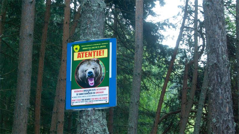Ein Schild warnt vor Bären am Rande einer Bergstraße in den Karpaten. (Archivbild)