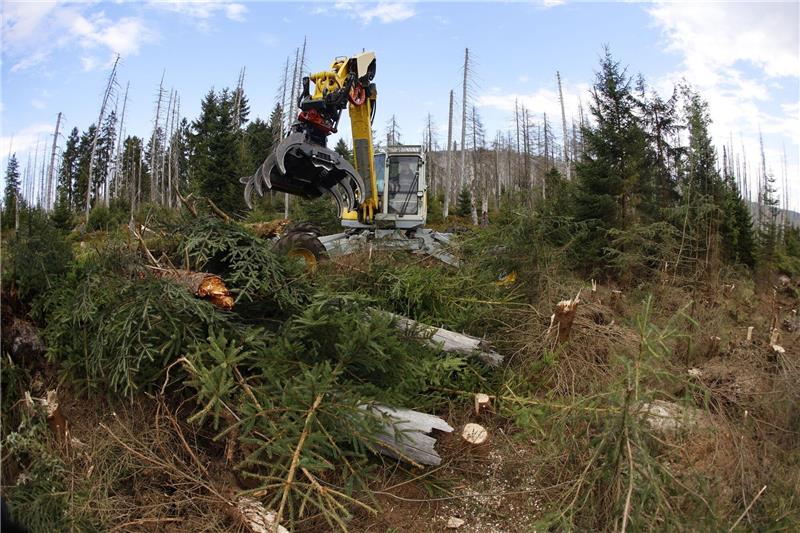 Brocken-Brand: Löschflugzeuge nach Harz-Einsatz zurück in Rom Ein Schreitbagger schneidet eine Schneise um ein Übergreifen des Feuers zu verhindern. Foto: DPA