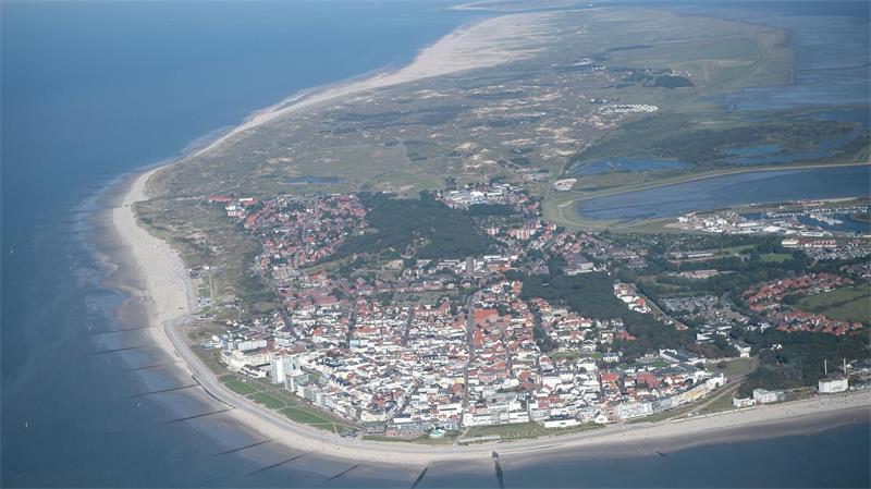 Ein Schweinswal wurde vor Norderney angespült. (Symbolbild)