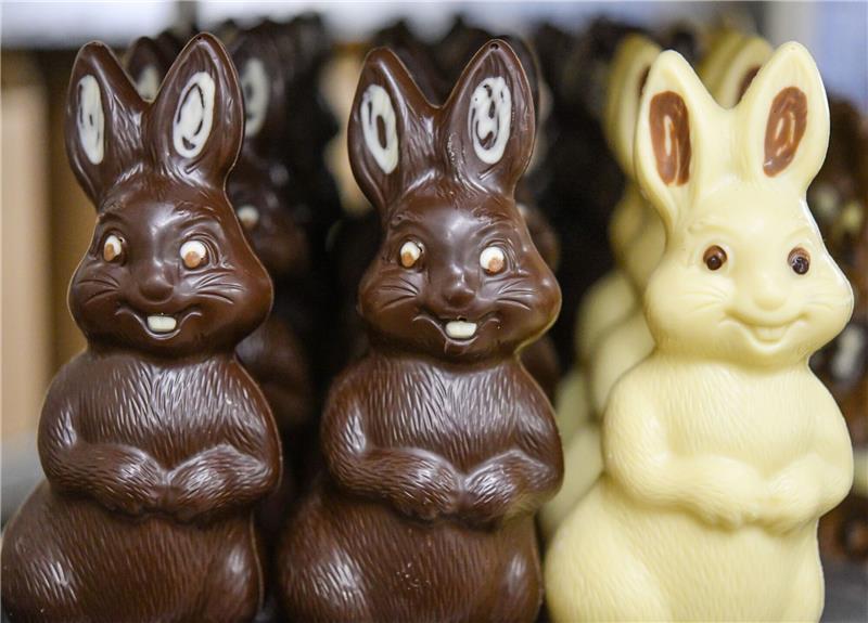 Ökobilanz von Schoko-Osterhasen: Je dunkler, desto besser Ein Schweizer Unternehmen für die Erstellung von Ökobilanzen stellt fest: je dunkler die Schokolade, desto besser für die Umwelt.