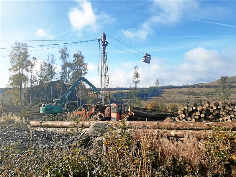 Ein Seilkran hilft dabei, Fichtenstämme zu transportieren.  Foto: Bauling