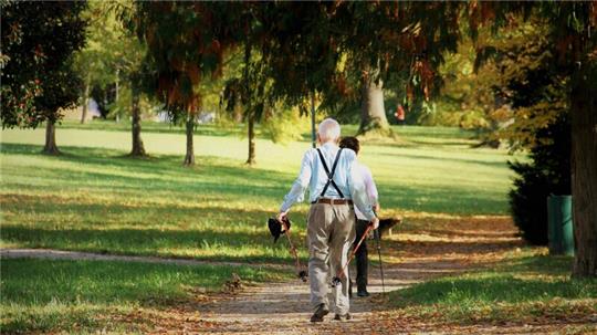 Ein Spaziergang im schattigen Park ist nicht die einzige Möglichkeit für Senioren, den Sommer zu verbringen.
