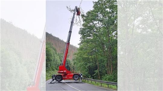 Ein Spezialkran rückt im Okertal Bäumen zu Leibe, die wegen fehlender Standfestigkeit den Verkehr gefährden könnten.