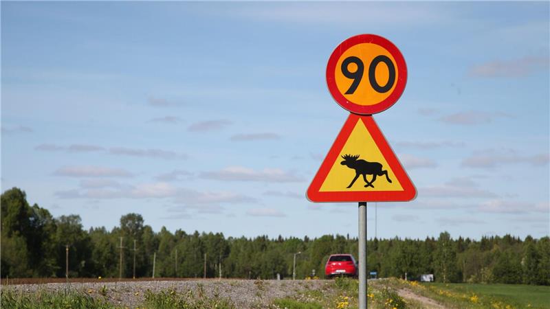 Ein Straßenschild warnt im Norden von Schweden vor Elchen. (Illustration)