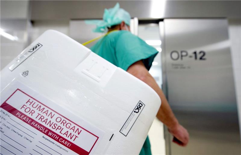 Ein Styropor-Behälter zum Transport von zur Transplantation vorgesehenen Organen.