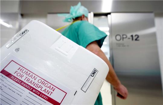 Ein Styropor-Behälter zum Transport von zur Transplantation vorgesehenen Organen.