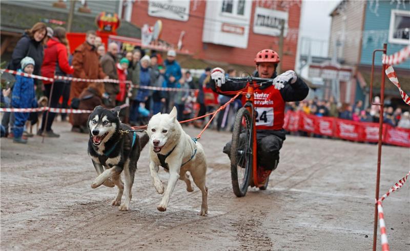 4000 Zuschauer beim Schlittenhunderennen Ein Teilnehmer des 22. Internationalen Schlittenhunderennens in der Westernstadt Pullman City Harz bei der Rundenhatz.